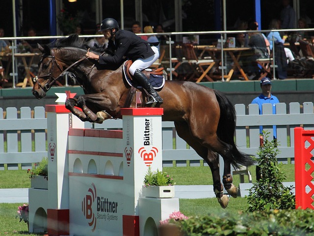 发挥其在 发挥其在