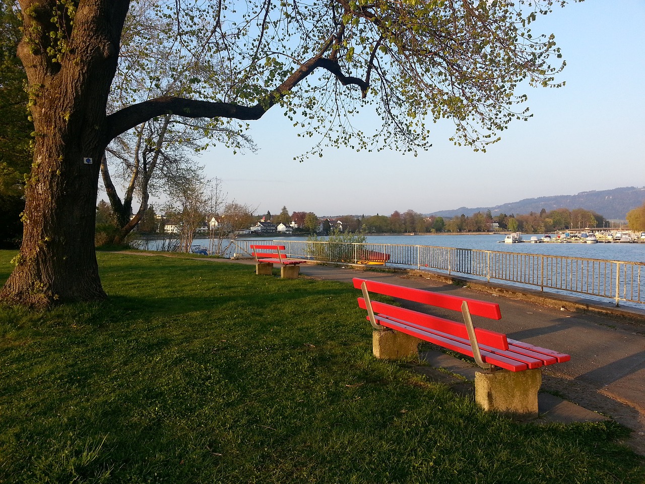 那个充满希 那个充满希