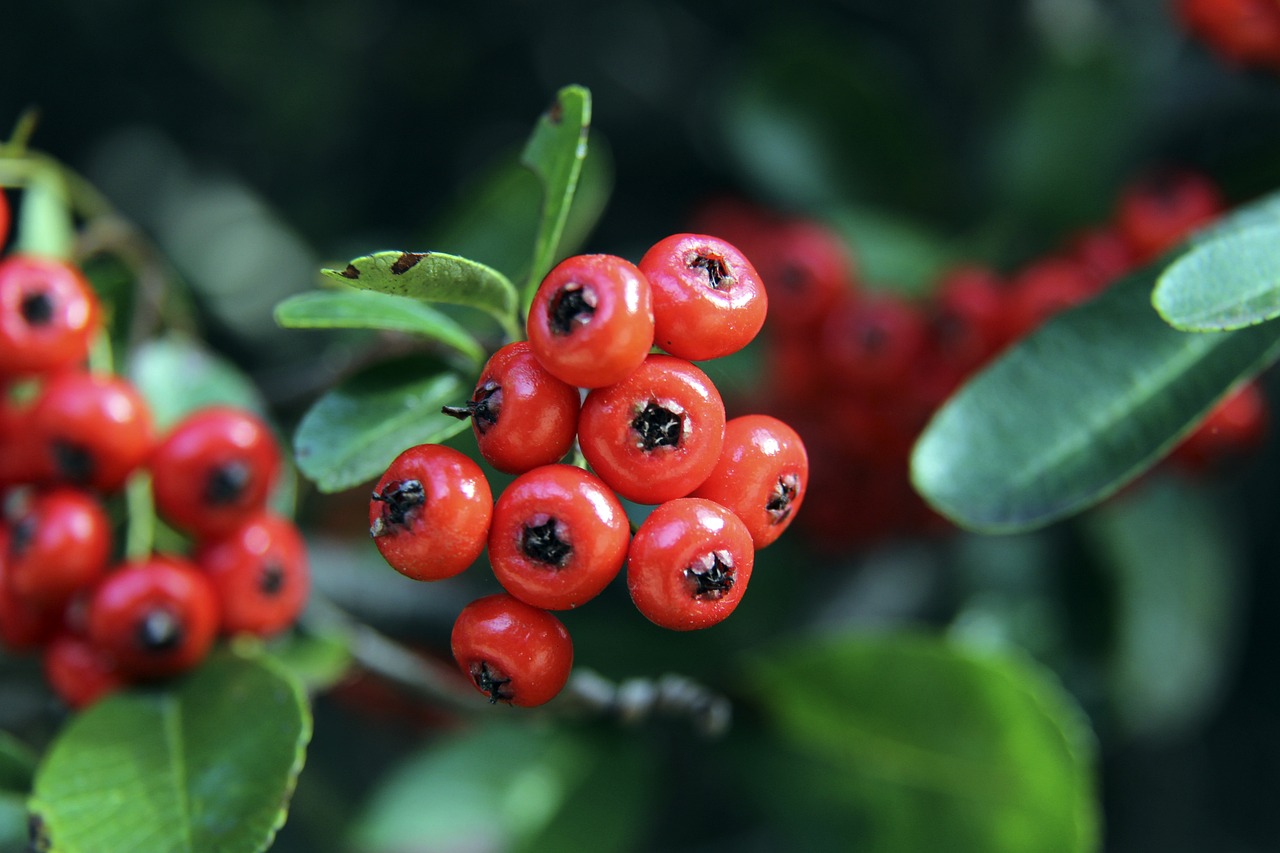 变能力和渴 变能力和渴