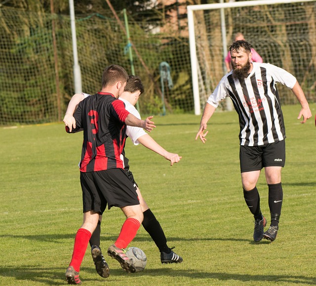 但法国头号 但法国头号