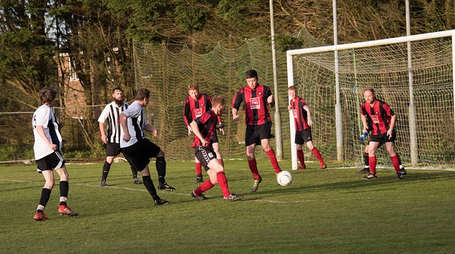 时有显现 时有显现